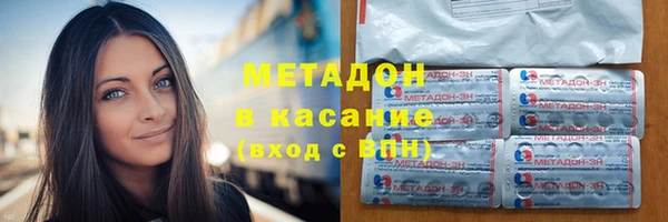 сатива Аркадак