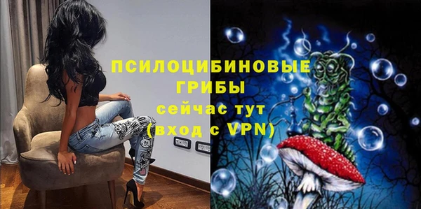 сатива Аркадак