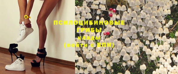 прущие грибы Алзамай