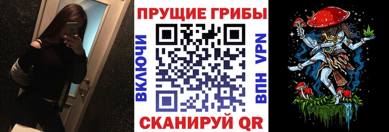 Псилоцибиновые грибы Psilocybine cubensis Михайловск