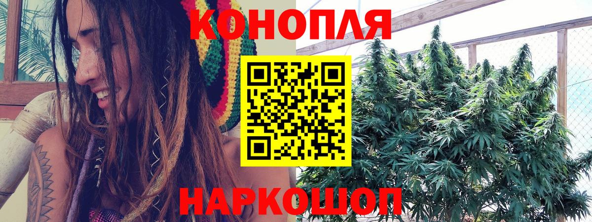 Конопля VHQ Михайловск